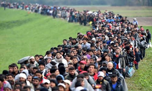 migration
