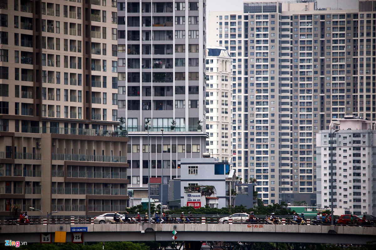 Ngat tho voi 'rung chung cu' o Ha Noi va TP.HCM hinh anh 11