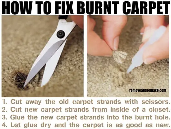 burnt-carpet.jpg (550×416)