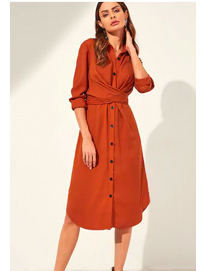 SHEIN Button Through Self Tie Shirt Dress SHEIN Button Through Self Tie Shirt Dress