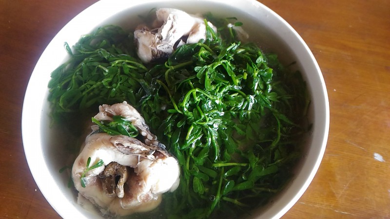 Danh y Hoa Đà đúc kết 38 bí quyết vàng về sức khỏe: Sau 18 thế kỷ vẫn còn vô cùng giá trị - Ảnh 3. Danh y Hoa Đà đúc kết 38 bí quyết vàng về sức khỏe: Sau 18 thế kỷ vẫn còn vô cùng giá trị - Ảnh 3.