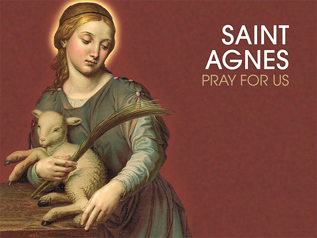 Saint of the Day