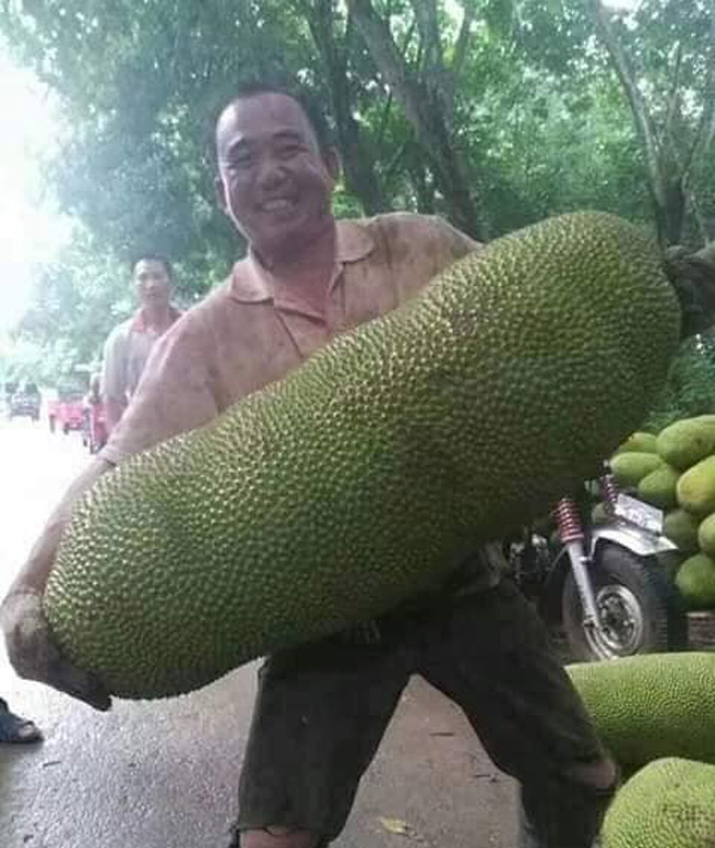 4920 11 MitKhongLoNCali