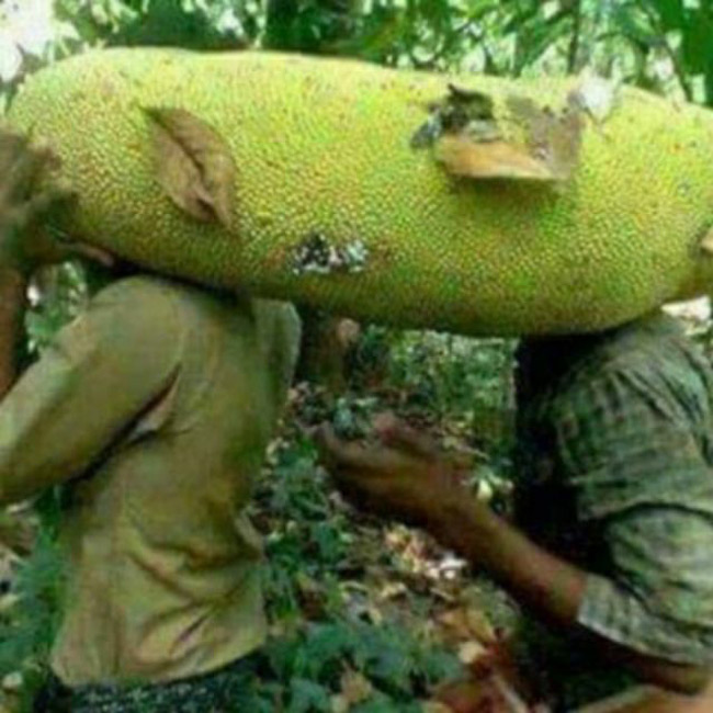 4920 7 Mit2NguoiKhienNCali