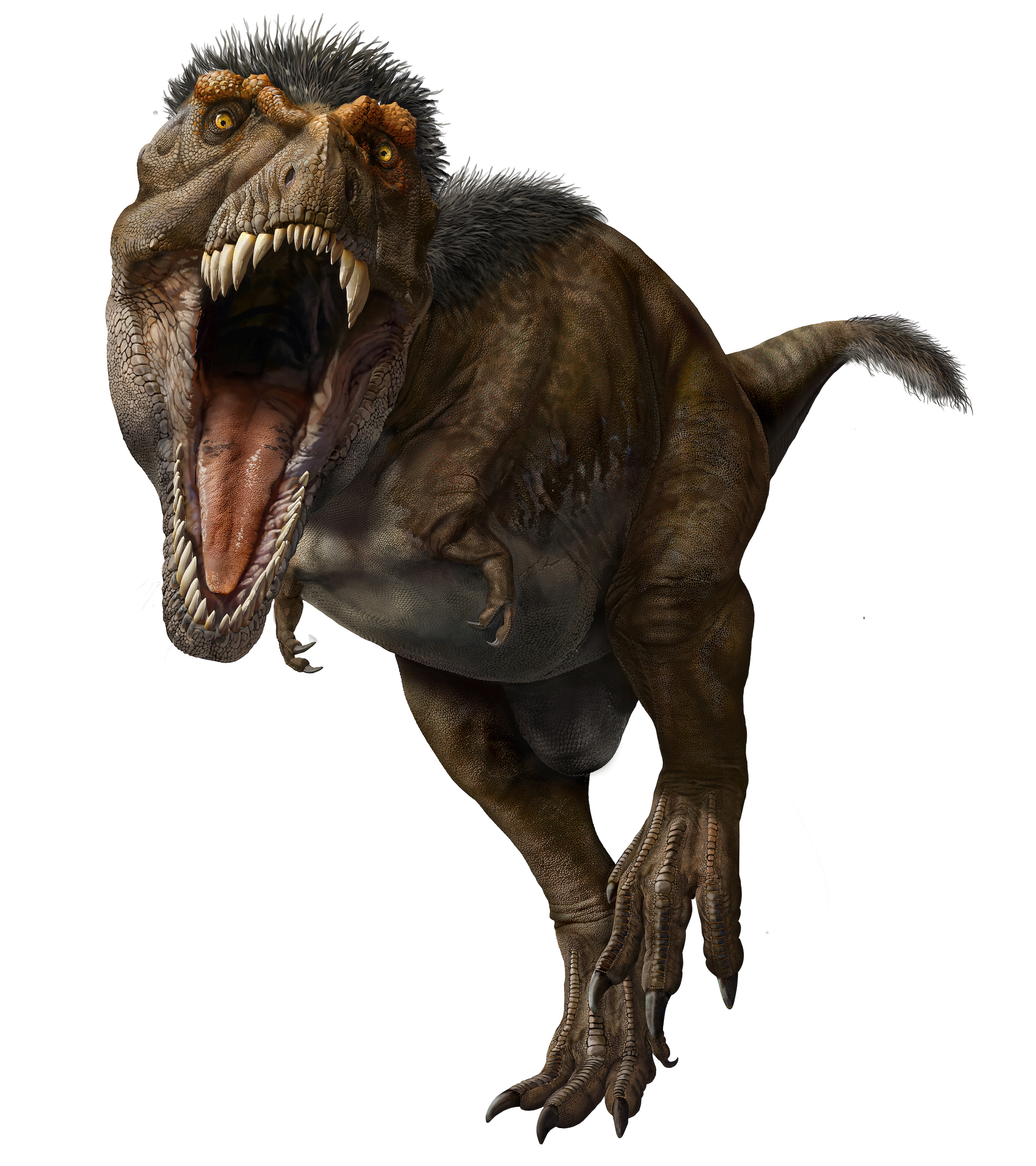 T. rex.jpg