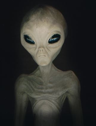 http://vignette2.wikia.nocookie.net/alienfilm/images/6/65/Alien-real.jpg/revision/latest?cb=20130620214917