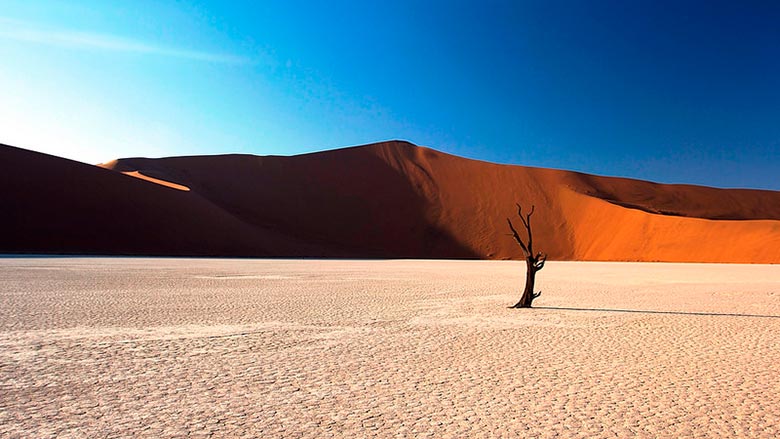 © William Llewelyn Davies / IFC