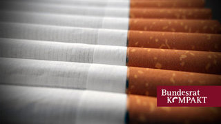 Foto: viele Zigaretten nebeneinander