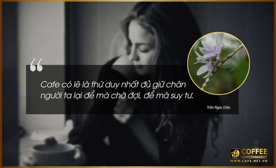 Résultat de recherche d'images pour "hinh anh Cà Phê Và Tình Yêu"
