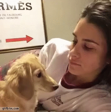 Dog bites girl&#39;s tongue