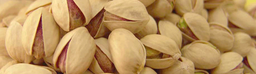 Image result for pistachios gif