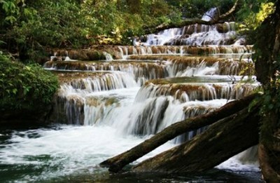 Uma cachoeira com pequenas quedas de água em meio à mata