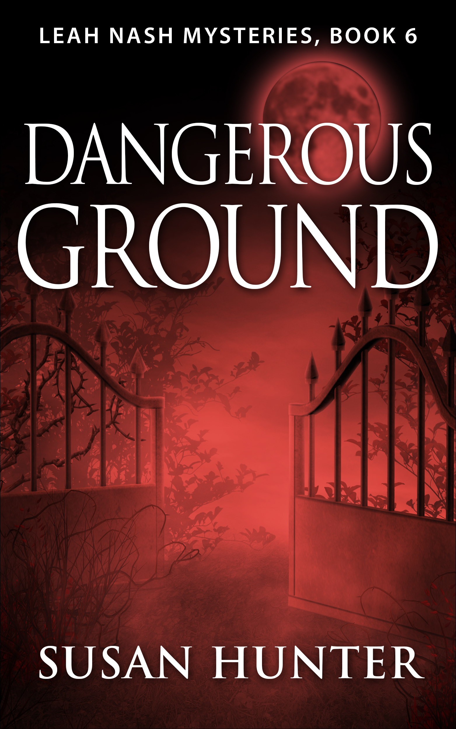 Dangerous Ground by Susan Hunter