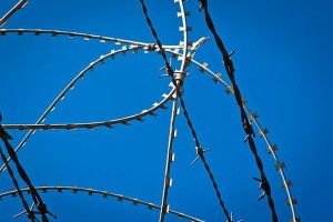 barbed wire