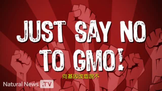 No to GMO