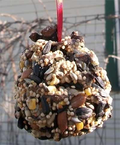 This pine cone bird feeder craft is easy enough for kids to make