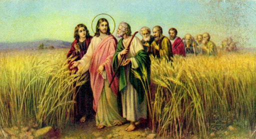 My Reflections...: Reflection for July 9, Tuesday: Fourteenth Week in Ordinary Time; Matthew 9:32-38