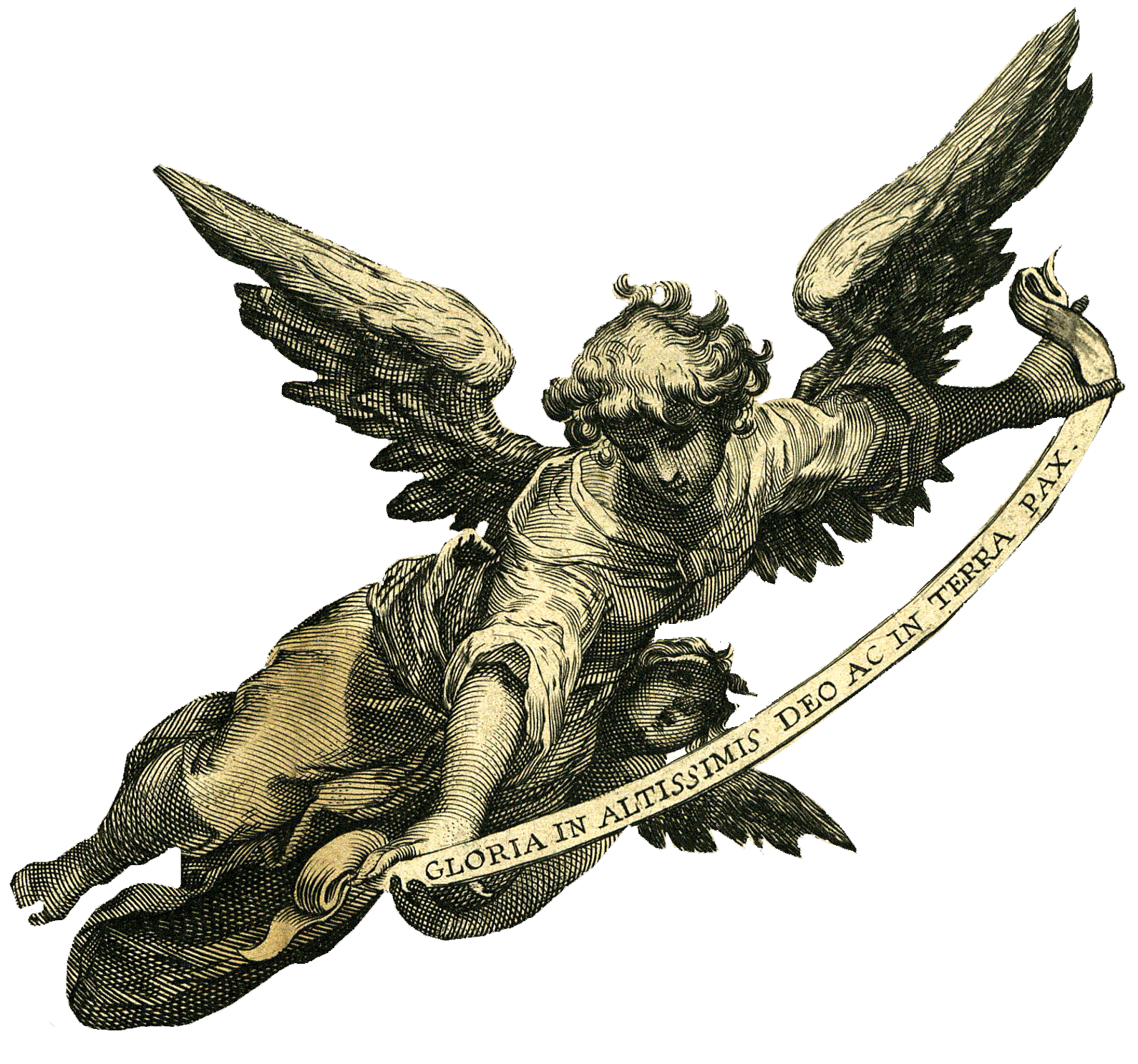 Visualizza immagine di origine