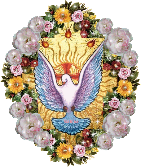 Risultato immagini per GIF ANIMATE SPIRITO DIVINO