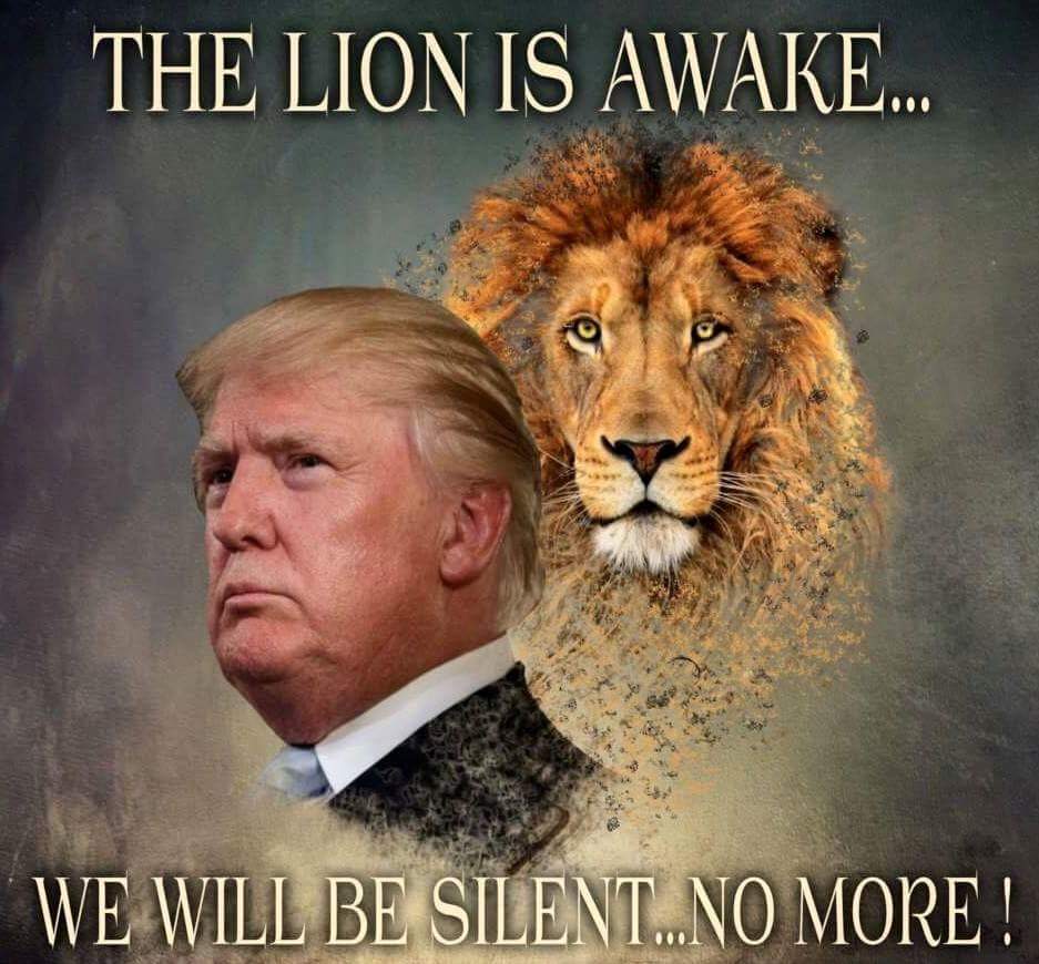 City St.Paul_Ponzi Principal