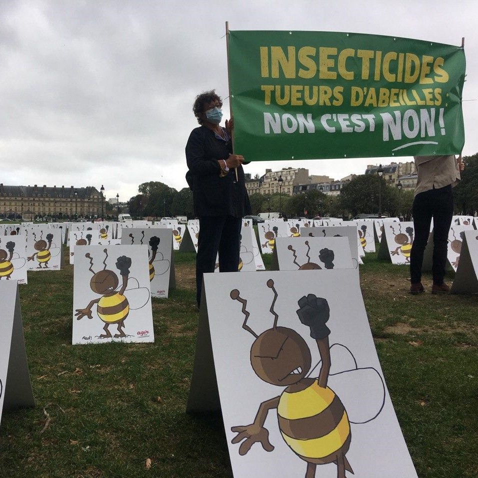 Insecticides tueurs d'abeilles : non c'est non !