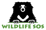 Wildlife SOS Logo