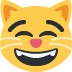 Grinning cat face with smiling eyes ��