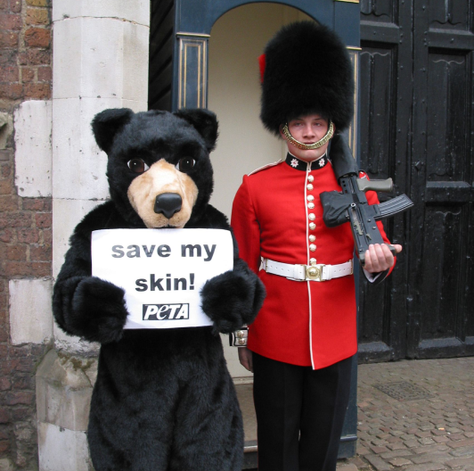 Image of bearskin hat protest