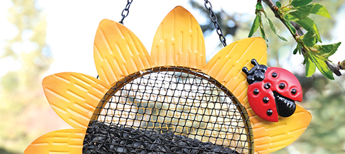Featured Product: Sunflower Mesh Feeder