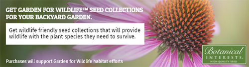 Get Garden for Wildlife Seed Collection for your backyard garden.