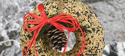 Featured Product Bird Seed Wreath
