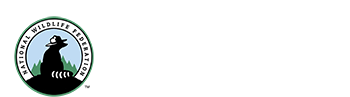 The National Wildlife Federation