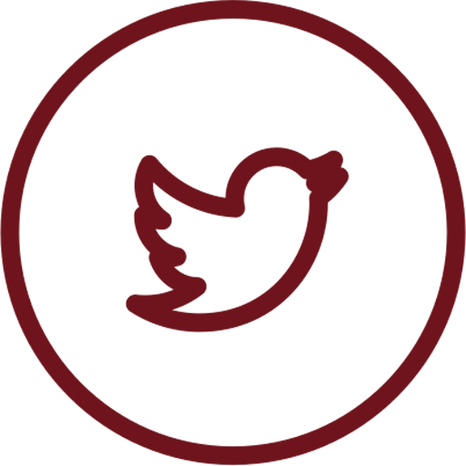 Twitter Link Twitter Link