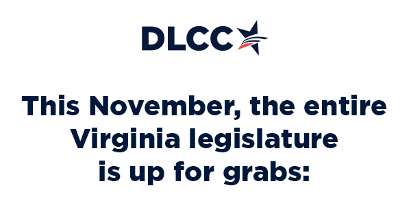 This November, the entire Virginia legislature is up for grabs