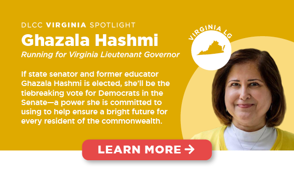 If state Senator and former educator Ghazala Hashmi is elected, she'll be the tiebreaking vote for Democrats in the Senate. If state Senator and former educator Ghazala Hashmi is elected, she'll be the tiebreaking vote for Democrats in the Senate.