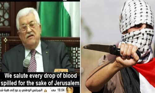 abbas