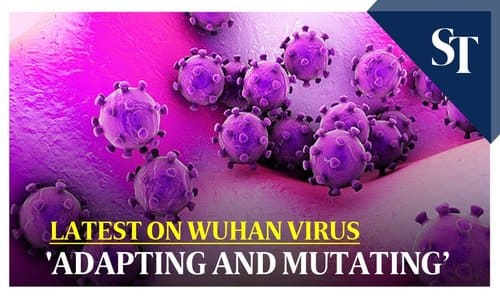 virus