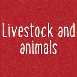 Livestock and Animals