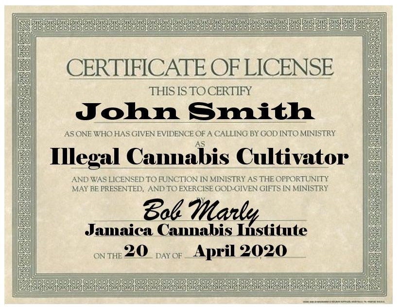 illegal_cannabis_license-page-001.jpg