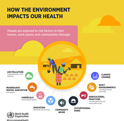 A graphic from the World Health Organization outlining
environmental health hazards: Air pollution, inadequate
water/sanitation, Chemicals, Radiation, Community Noise, Occupational
Rises, Agricultural Practices, Built Environments, and Climate
Change.