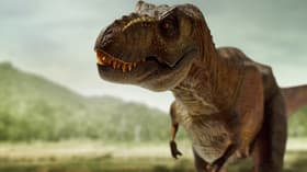 We still wouldn't call a T. rex not that clever to their face