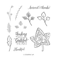 Falling For Leaves Photopolymer Stamp Set Falling For Leaves Photopolymer Stamp Set