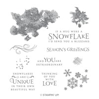 Beautiful Blizzard Wood-Mount Stamp Set