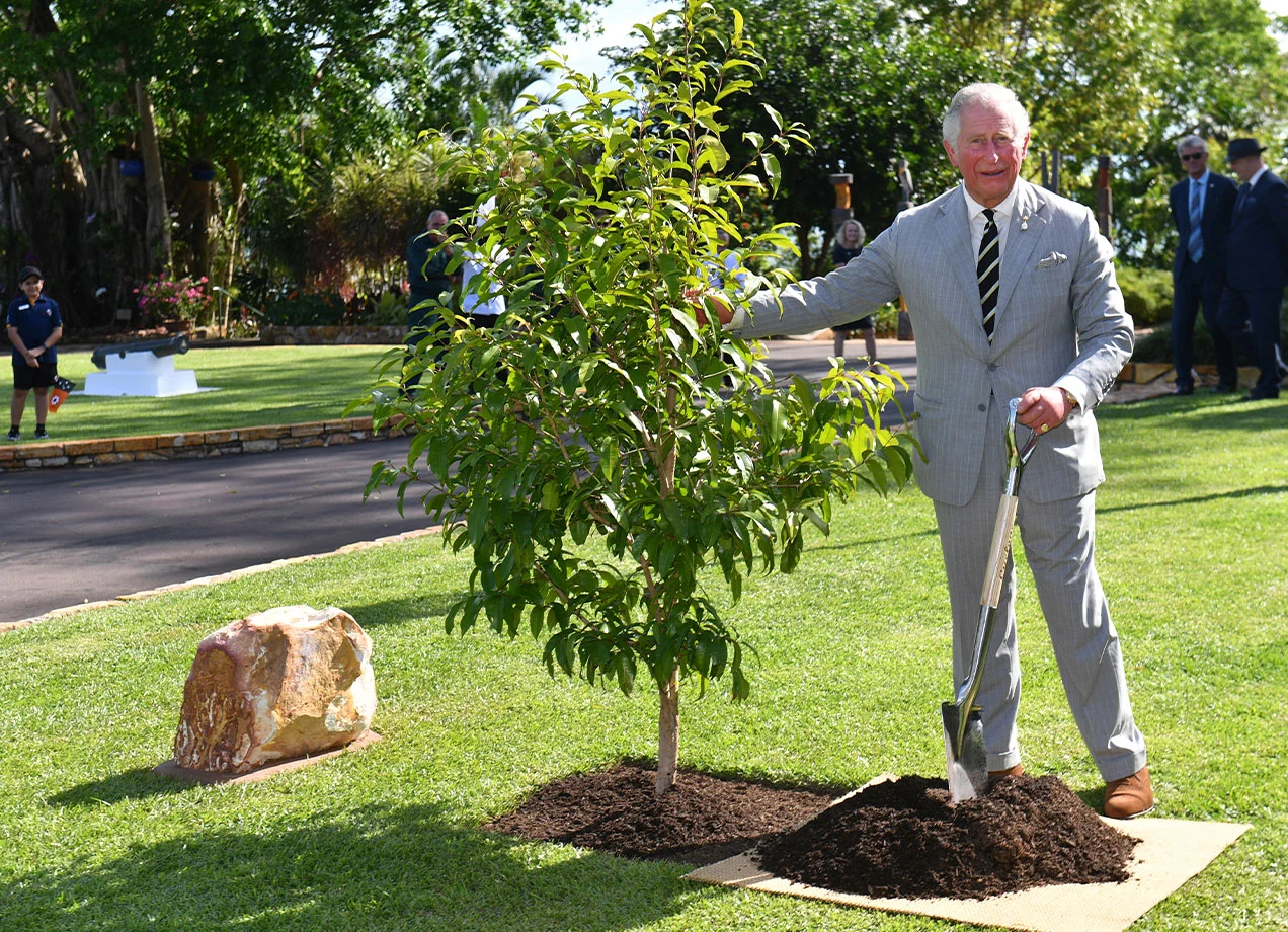 Plant a Tree in commemoration of King Charles III's Coronation