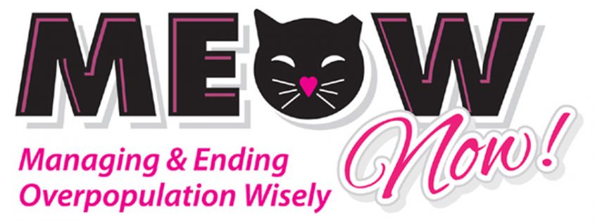Image result for MEOW Now - Providing TNVR to Pinellas County Community Cats
