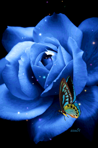 Animated Blue Rose & Butterfly Animated Blue Rose & Butterfly
