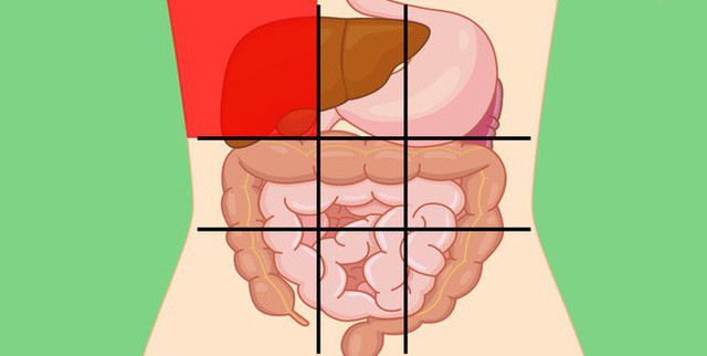 Nhờ bản đồ bụng này mà bạn sẽ biết các cơn đau ở mỗi vị trí trên bụng là do nguyên nhân nào gây ra - Ảnh 1.