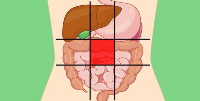 Nhờ bản đồ bụng này mà bạn sẽ biết các cơn đau ở mỗi vị trí trên bụng là do nguyên nhân nào gây ra - Ảnh 5.