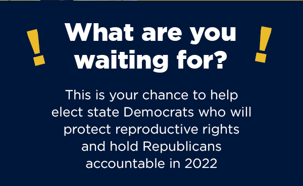 This is your chance to help elect state Democrats who will protect reproductive rights and hold Republicans accountable in 2022