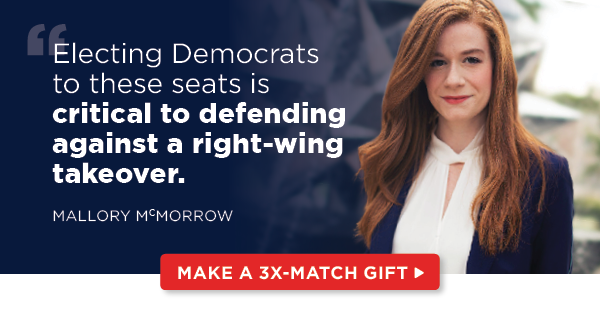 “Electing Democrats to these seats is critical to defending against a right-wing takeover.”